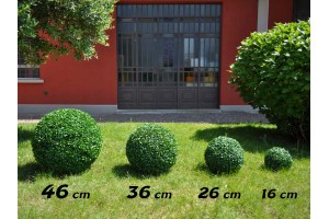 Sfere Boxwood varie misure