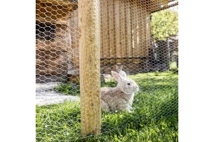 Rete zincata tripla torsione per recinzione galline e polli