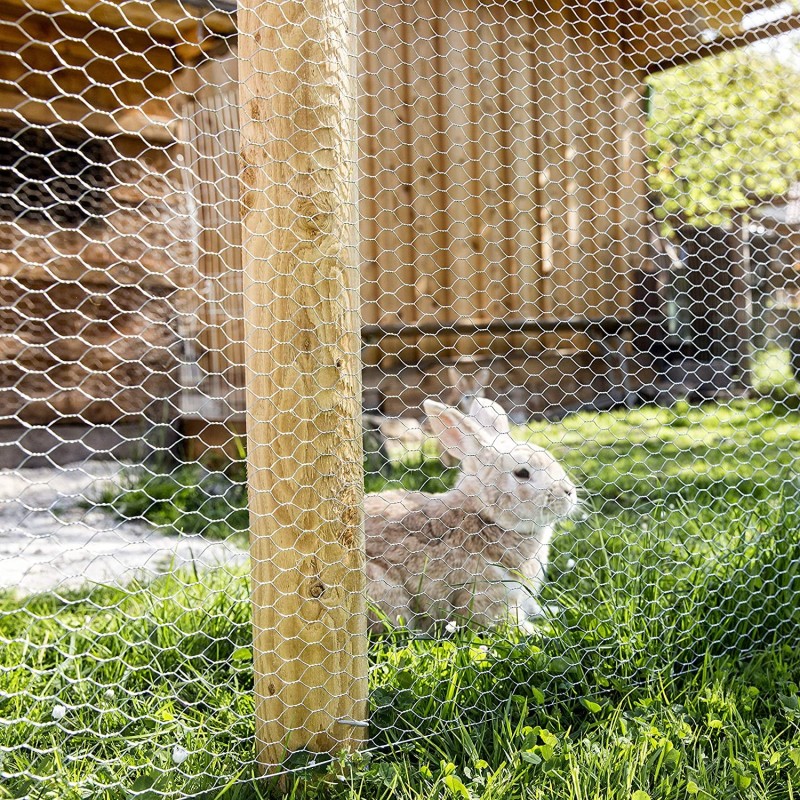 Recinto in Rete per Galline