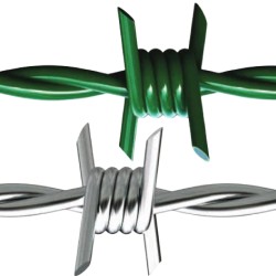 Filo Spinato