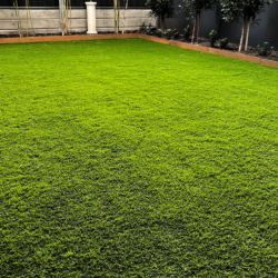 Prato sintetico finto